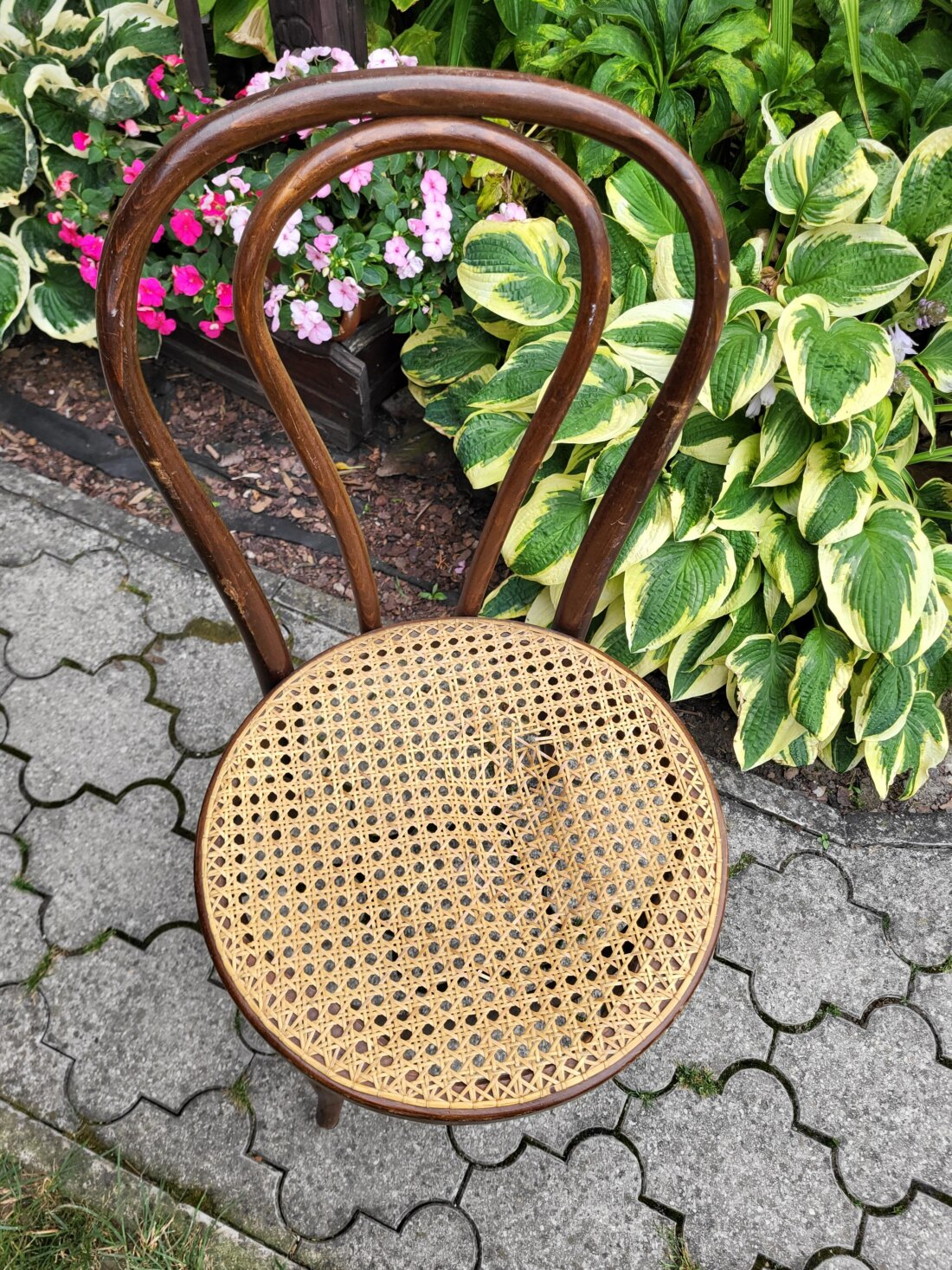 Ikonická stolička Thonet č. 14 – viedenský výplet (na renováciu) – Obrázok 3